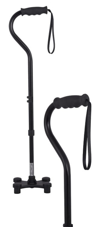 samostojąca laska łabędź